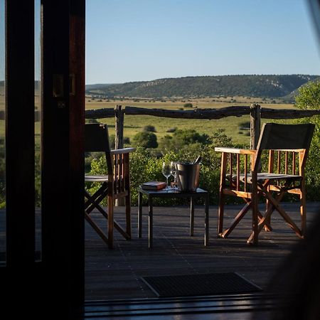 Hillsnek Safari Camp - Amakhala Game Reserve Eksteriør bilde