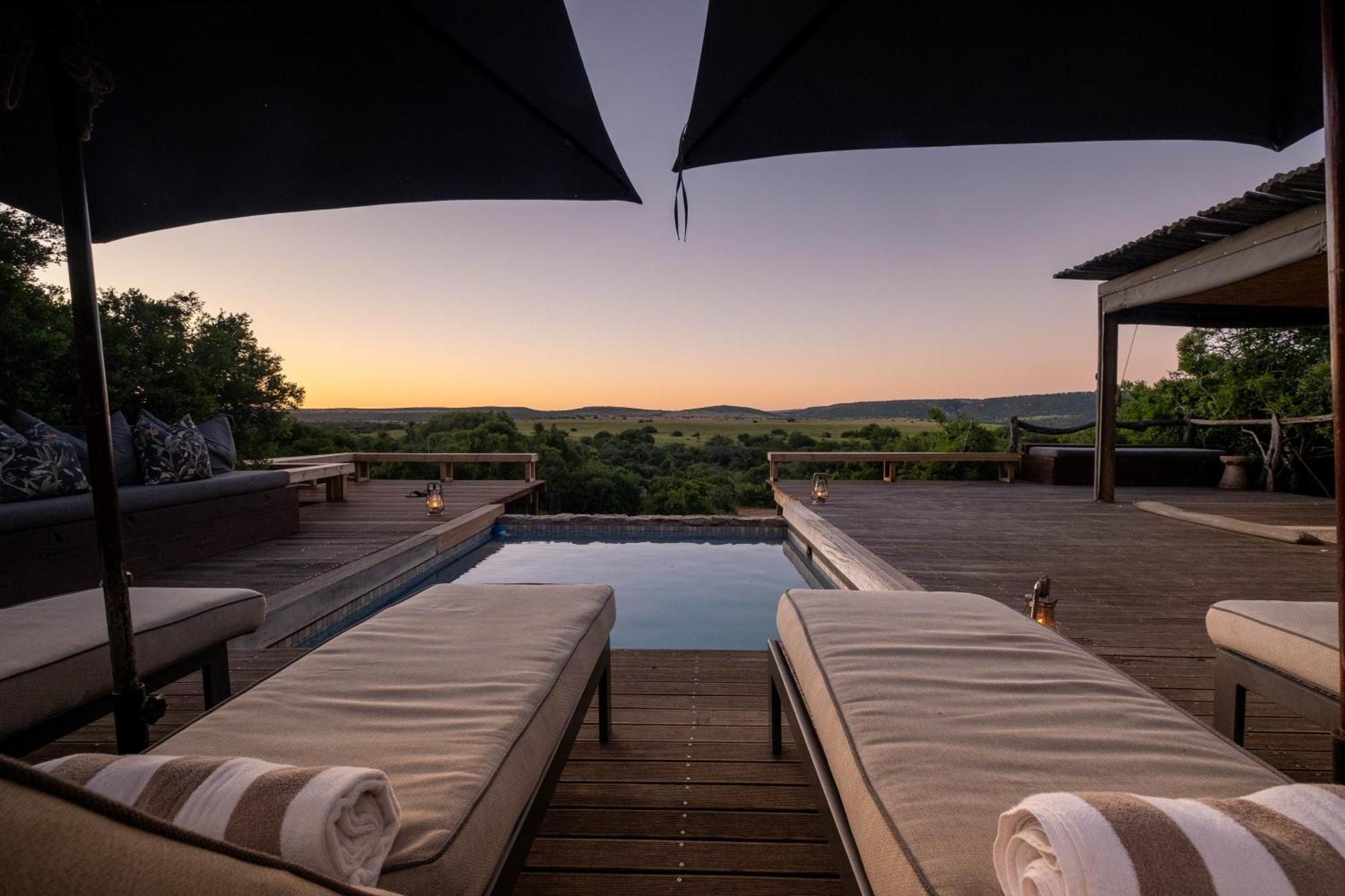 Hillsnek Safari Camp - Amakhala Game Reserve Eksteriør bilde