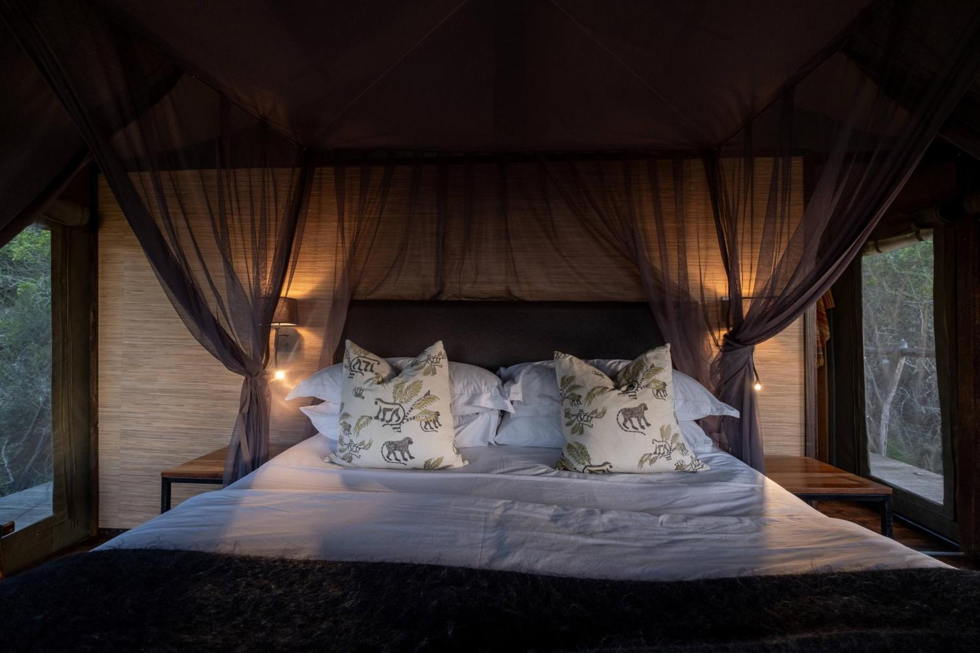 Hillsnek Safari Camp - Amakhala Game Reserve Eksteriør bilde