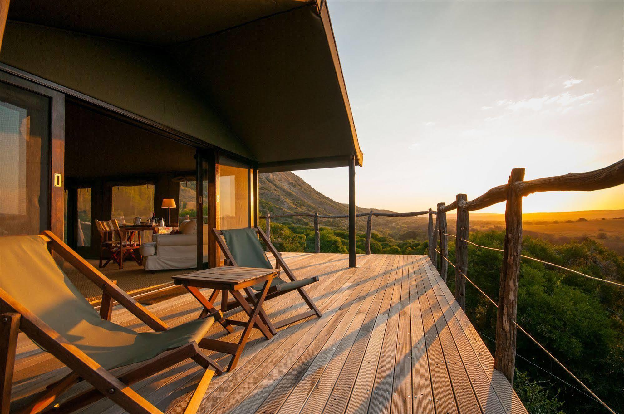 Hillsnek Safari Camp - Amakhala Game Reserve Eksteriør bilde