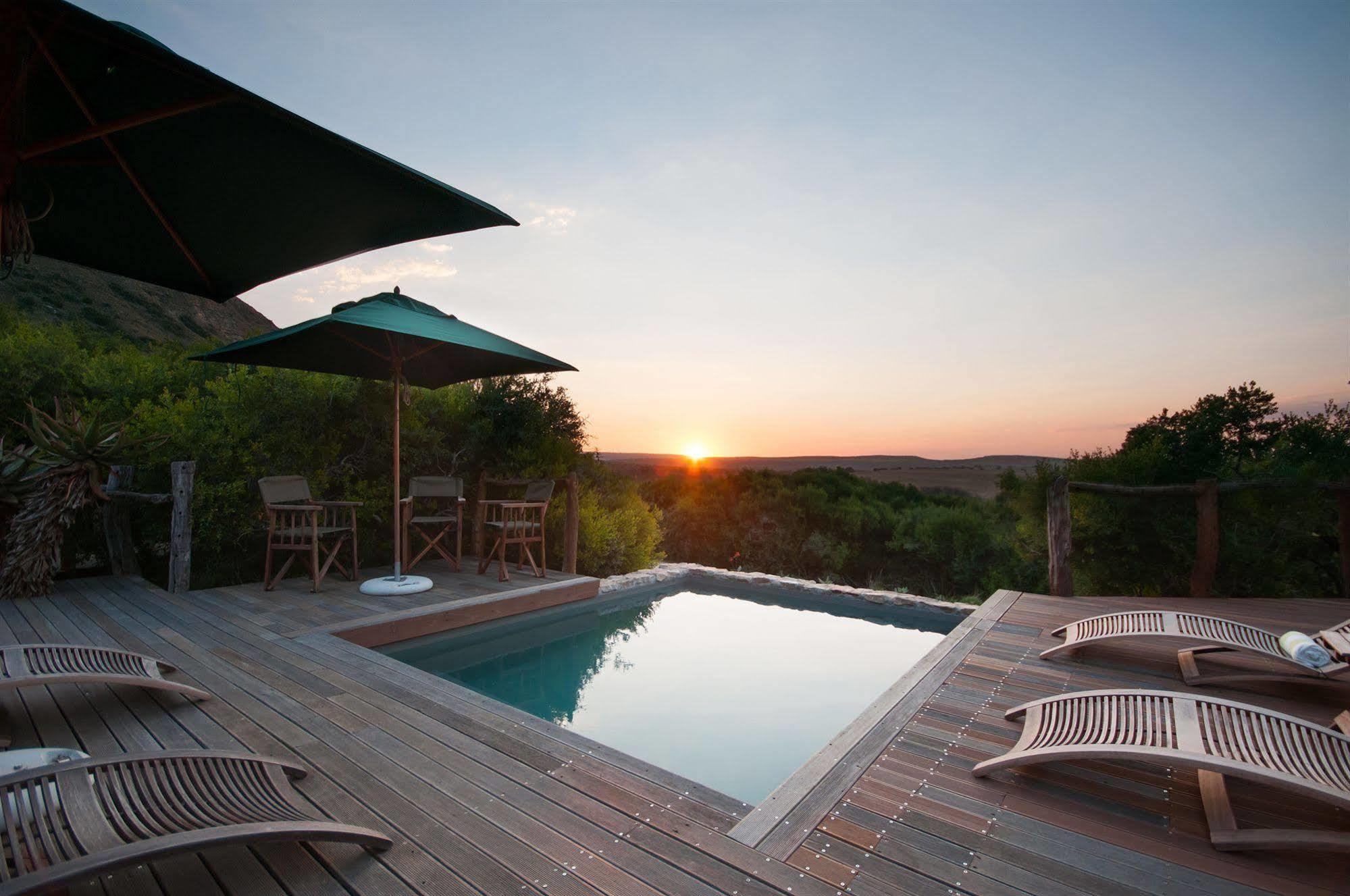 Hillsnek Safari Camp - Amakhala Game Reserve Eksteriør bilde