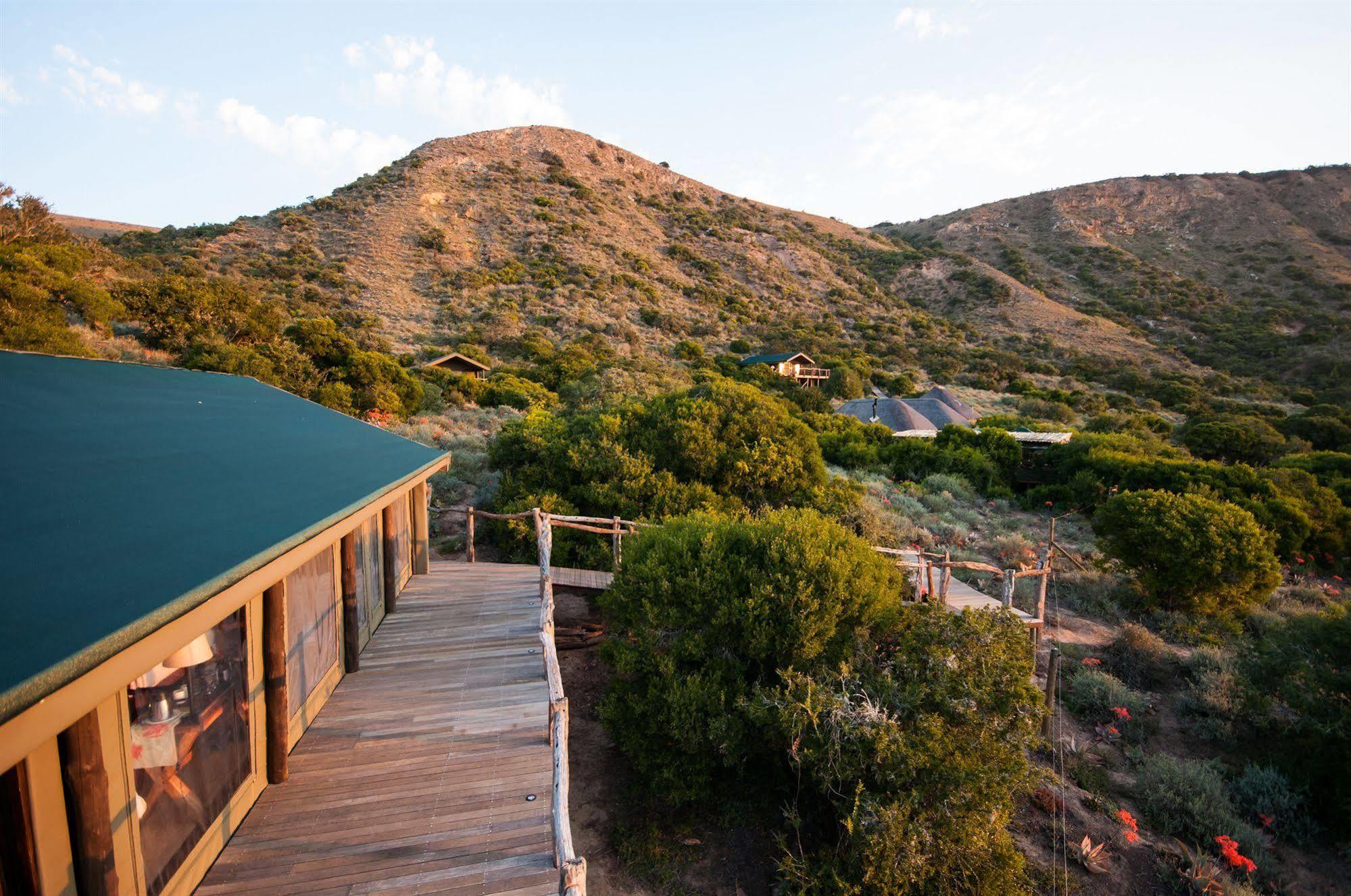 Hillsnek Safari Camp - Amakhala Game Reserve Eksteriør bilde