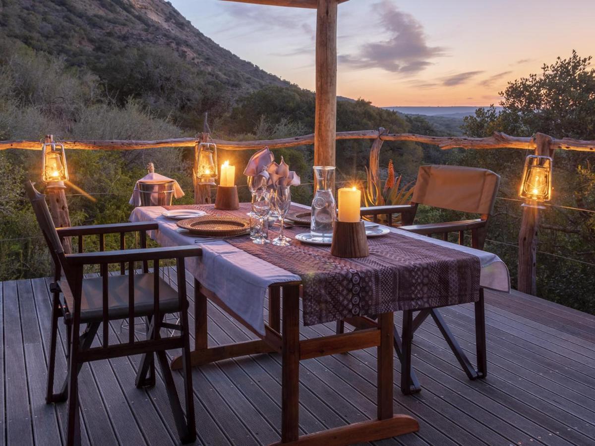 Hillsnek Safari Camp - Amakhala Game Reserve Eksteriør bilde