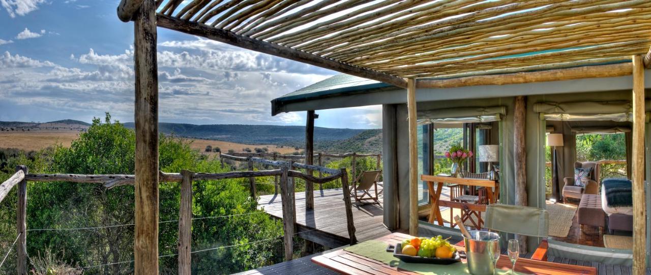 Hillsnek Safari Camp - Amakhala Game Reserve Eksteriør bilde